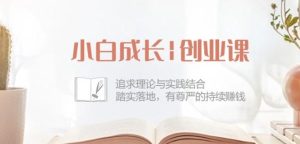 小白成长创业课：追求理论与实践结合，踏实落地，有尊严的持续赚钱-42节-快赚