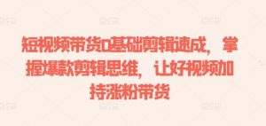 短视频带货0基础剪辑速成，掌握爆款剪辑思维，让好视频加持涨粉带货-快赚