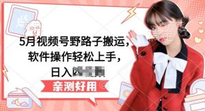 5月视频号野路子搬运,软件操作轻松上手,日入三位数【揭秘】-快赚
