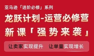 亚马逊进阶必修系列，龙跃计划-运营必修营新课，让卖家实现提升 让单量实现增长-快赚