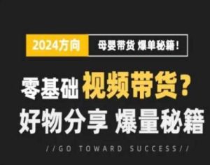 短视频母婴赛道实操流量训练营,零基础视频带货,好物分享,爆量秘籍-快赚