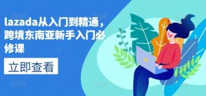lazada从入门到精通，跨境东南亚新手入门必修课-快赚