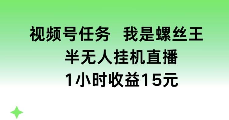 视频号任务，我是螺丝王， 半无人挂机1小时收益15元【揭秘】-快赚