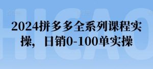 2024拼多多全系列课程实操，日销0-100单实操【必看】-快赚