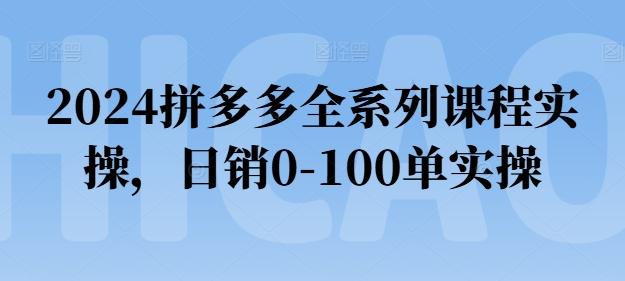2024拼多多全系列课程实操，日销0-100单实操【必看】-快赚