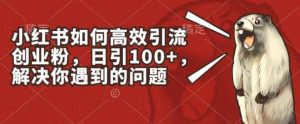 小红书如何高效引流创业粉，日引100+，解决你遇到的问题【揭秘】-快赚
