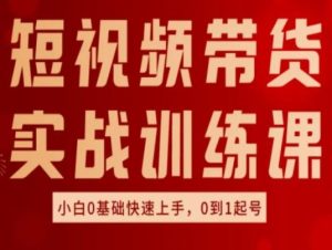 短视频带货实战训练课,好物分享实操,小白0基础快速上手,0到1起号-快赚