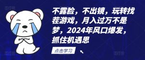 不露脸，不出镜，玩转找茬游戏，月入过万不是梦，2024年风口爆发，抓住机遇【揭秘】-快赚