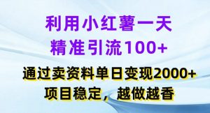 利用小红书一天精准引流100+，通过卖项目单日变现2k+，项目稳定，越做越香【揭秘】-快赚