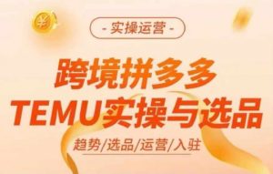 跨境拼多多TEMU实操与选品,多多temu跨境选品运营实操-快赚