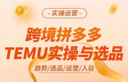 跨境拼多多TEMU实操与选品，多多temu跨境选品运营实操-快赚