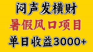 30天赚了7.5W 暑假风口项目，比较好学，2天左右上手-快赚