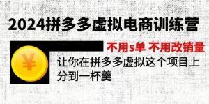 2024拼多多虚拟电商训练营 不s单 不改销量 做虚拟项目分一杯羹(更新10节-快赚