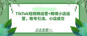 TikTok短视频运营+跨境小店运营,账号引流、小店成交-快赚