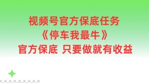 视频号官方保底任务,停车我最牛,官方保底只要做就有收益【揭秘】-快赚