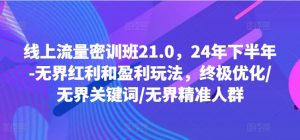 线上流量密训班21.0，24年下半年-无界红利和盈利玩法，终极优化/无界关键词/无界精准人群-快赚