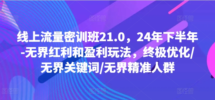 线上流量密训班21.0，24年下半年-无界红利和盈利玩法，终极优化/无界关键词/无界精准人群-快赚