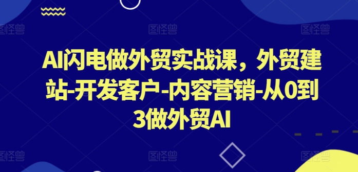 AI闪电做外贸实战课,外贸建站-开发客户-内容营销-从0到3做外贸AI(更新)-快赚
