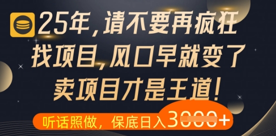 什么?25年你还在疯狂找项目做,醒醒吧,看完这些你全都懂了【揭秘】-快赚