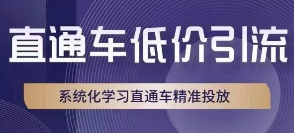 直通车低价引流课,系统化学习直通车精准投放-快赚