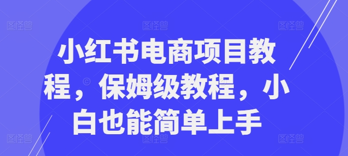 小红书电商项目教程，保姆级教程，小白也能简单上手-快赚