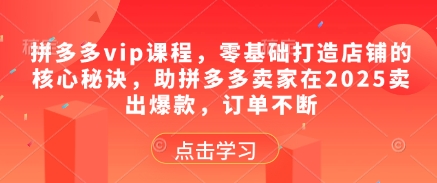 拼多多vip课程,零基础打造店铺的核心秘诀,助拼多多卖家在2025卖出爆款,订单不断-快赚