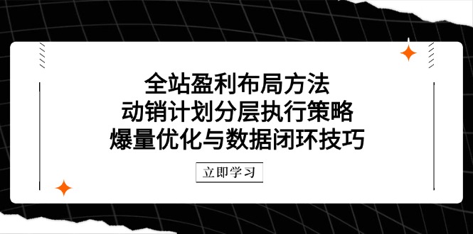 全站盈利布局方法:动销计划分层执行策略,爆量优化与数据闭环技巧-快赚