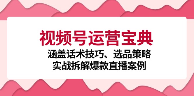 视频号运营宝典:涵盖话术技巧、选品策略、实战拆解爆款直播案例-快赚