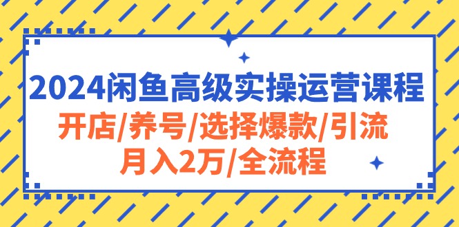 2024闲鱼高级实操运营课程:开店/养号/选择爆款/引流/月入2万/全流程-快赚