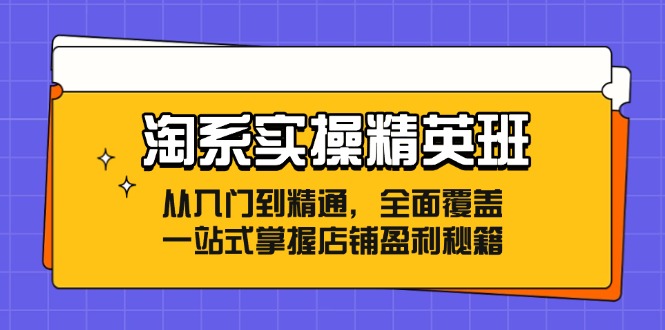 淘系实操精英班：从入门到精通，全面覆盖，一站式掌握店铺盈利秘籍-快赚