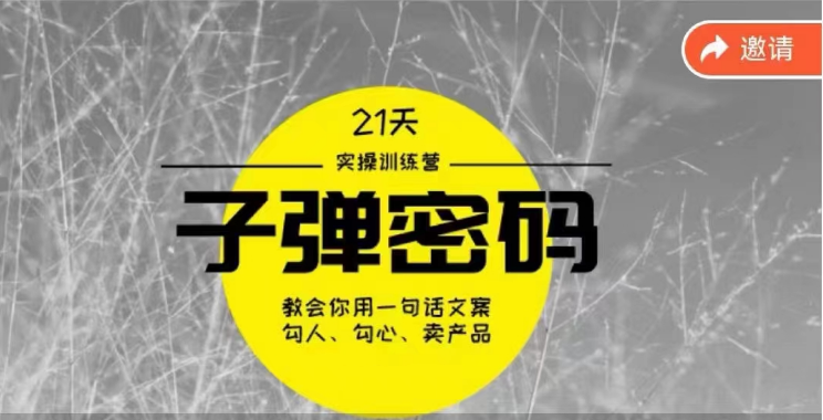 《子弹密码训练营》-用一句话文案勾人勾心卖产品，21天学到顶尖文案大师策略和技巧-快赚