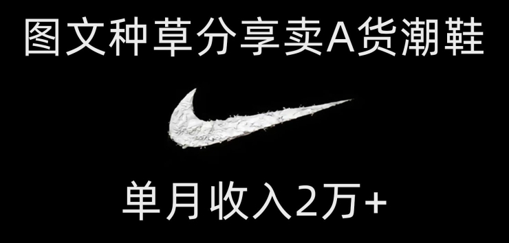 靠图文种草分享卖A货潮鞋，每天一小时，单月收入2万+【揭秘】-快赚