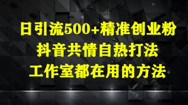 日引流500+精准创业粉,抖音共情自热打法,工作室都在用的方法-快赚