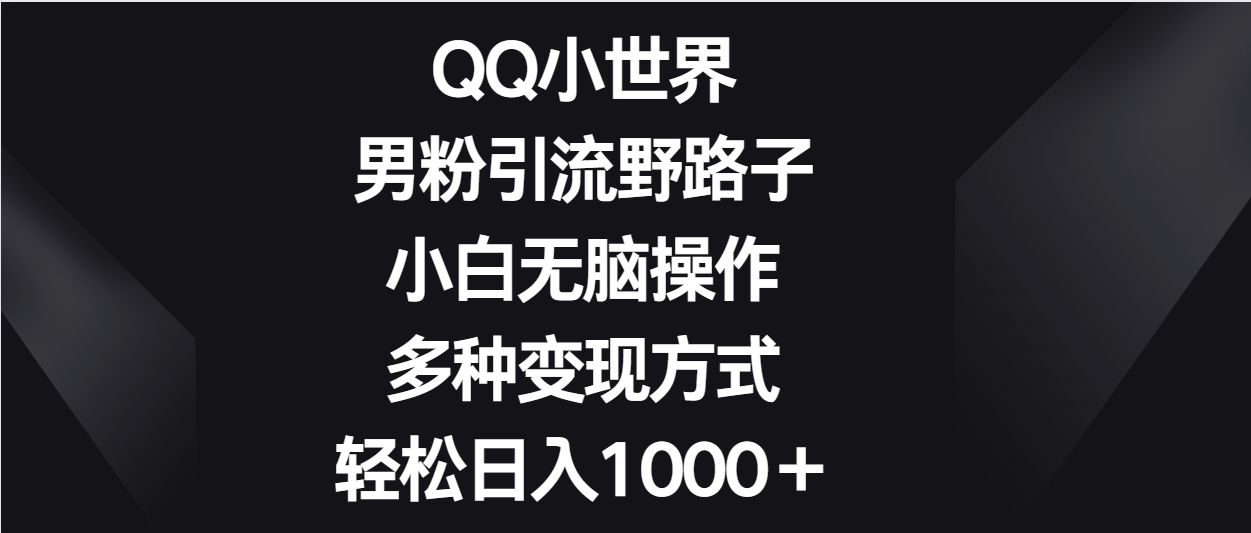 QQ小世界男粉引流野路子,小白无脑操作,多种变现方式轻松日入1000+-快赚