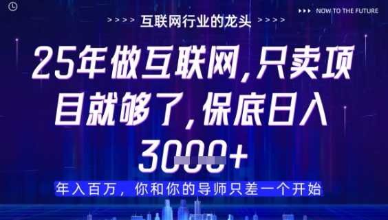 什么!25年你还在找项目做?风口早就变了,卖项目才是稳挣不赔【揭秘】-快赚