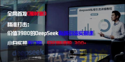 精准打击：价值3980的DeepSeek私域引流实操课，小白实操无门槛，日引精准粉300+-快赚