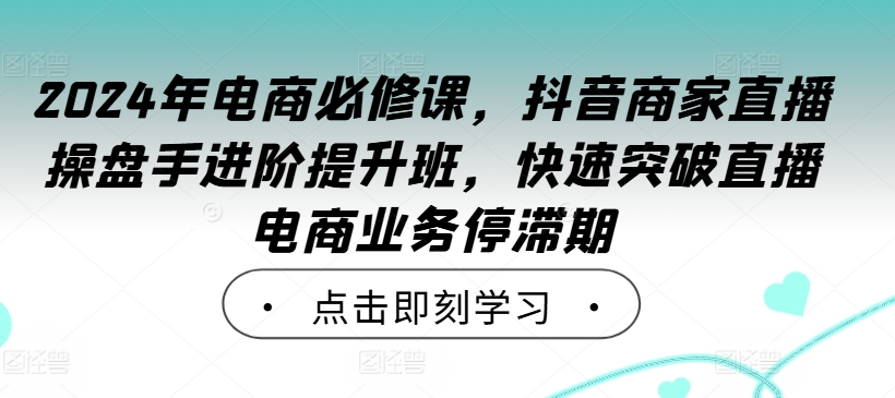 2024年电商必修课,抖音商家直播操盘手进阶提升班,快速突破直播电商业务停滞期-快赚
