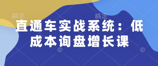 直通车实战系统:低成本询盘增长课,让个人通过技能实现升职加薪,让企业低成本获客,订单源源不断-快赚