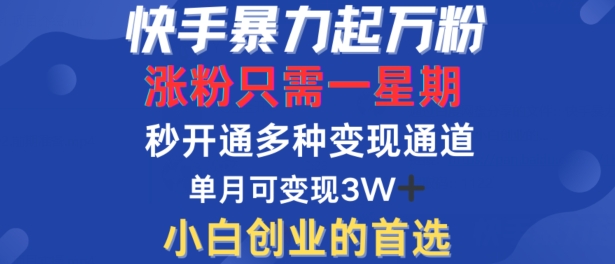 快手暴力起万粉,涨粉只需一星期,多种变现模式,直接秒开万合,单月变现过W【揭秘】-快赚