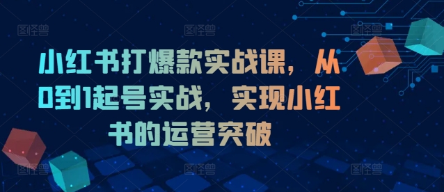 小红书打爆款实战课，从0到1起号实战，实现小红书的运营突破-快赚