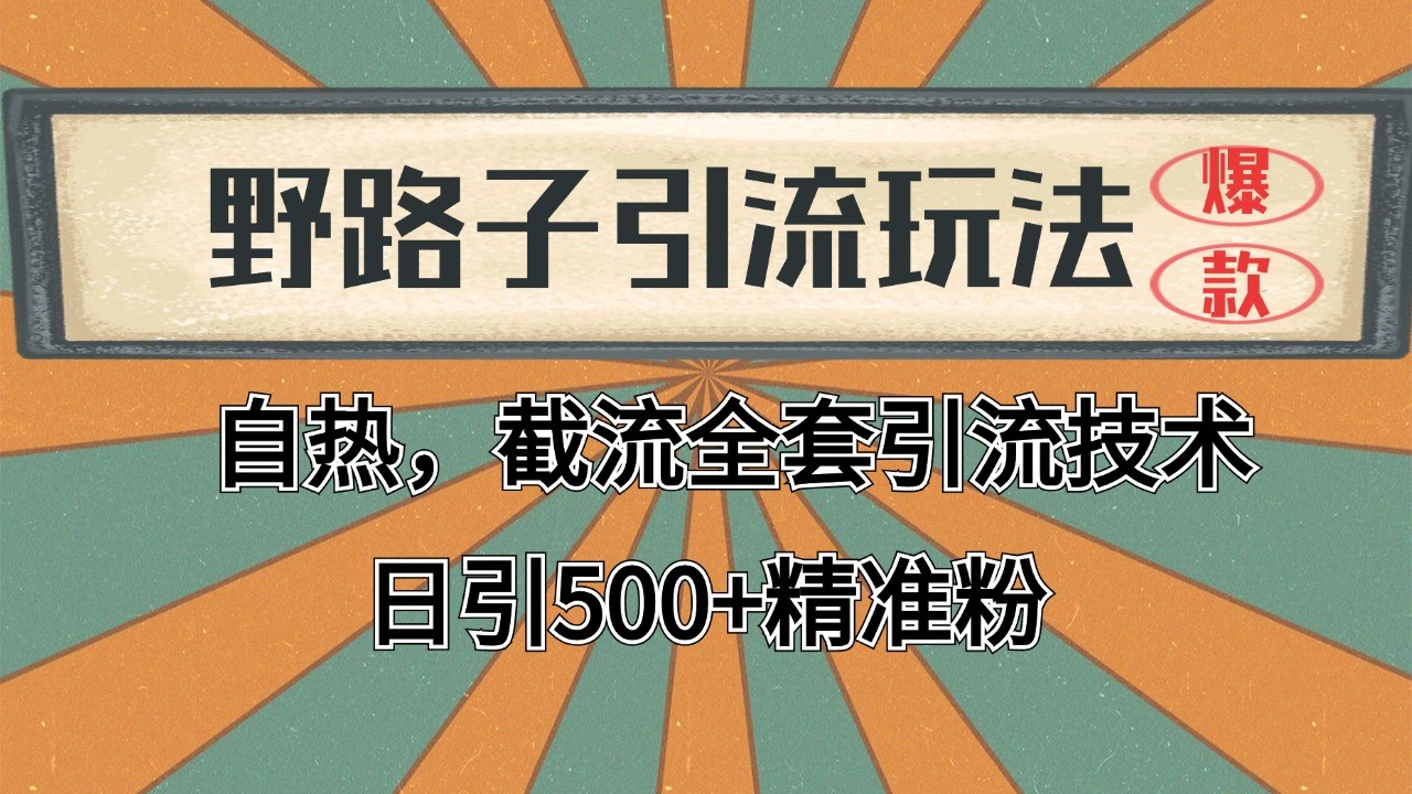 抖音小红书视频号全平台引流打法，全自动引流日引2000+精准客户-快赚