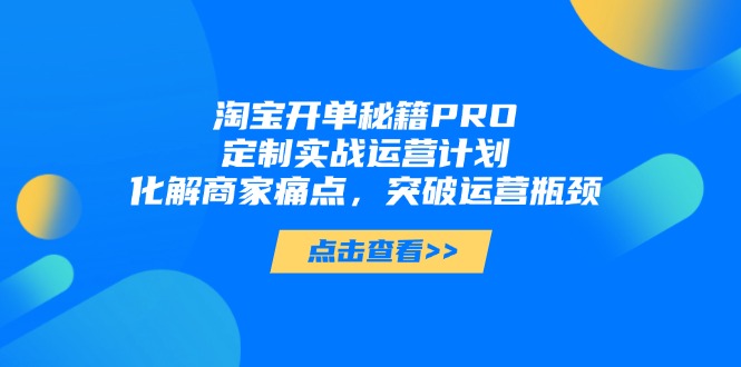 淘宝开单秘籍PRO,定制实战运营计划,化解商家痛点,突破运营瓶颈-快赚