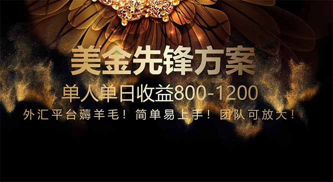 免费技术!小众赛道!一年布局抵三年努力,每日800+-快赚