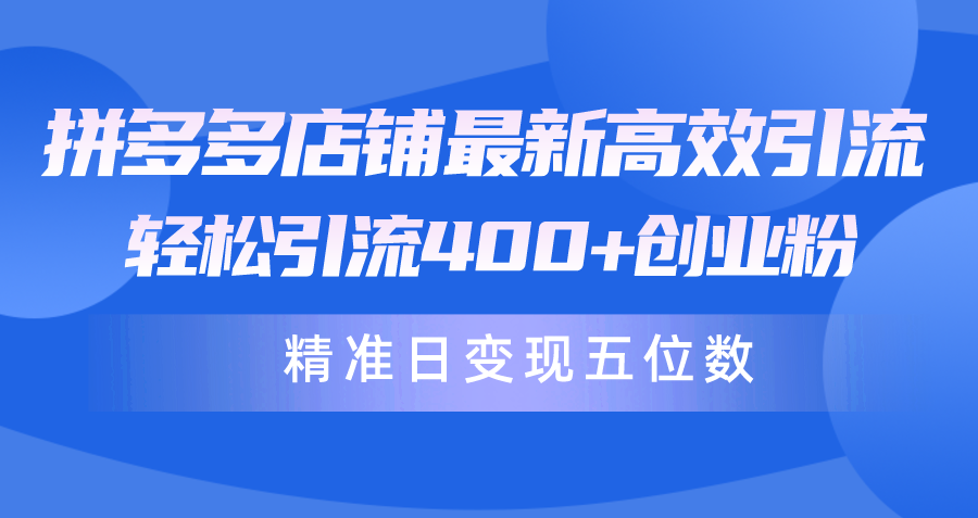 (10041期)拼多多店铺最新高效引流术，轻松引流400+创业粉，精准日变现五位数！-快赚