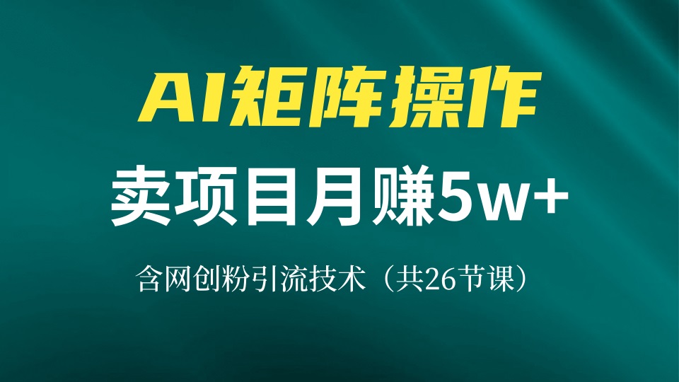 网创IP打造课，借助AI卖项目月赚5万+，含引流技术(共26节课-快赚