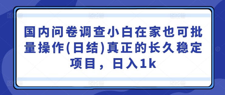 国内问卷调查小白在家也可批量操作(日结)真正的长久稳定项目,日入1k【揭秘】-快赚