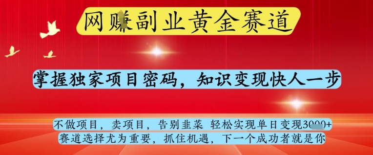 网创副业黄全赛道，掌握独家项目密码，知识变现快人一步，告别韭菜轻松实现单日变现1k+【揭秘】-快赚