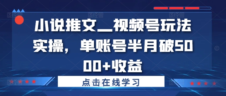 小说推文—视频号玩法实操,单账号半月破5000+收益-快赚