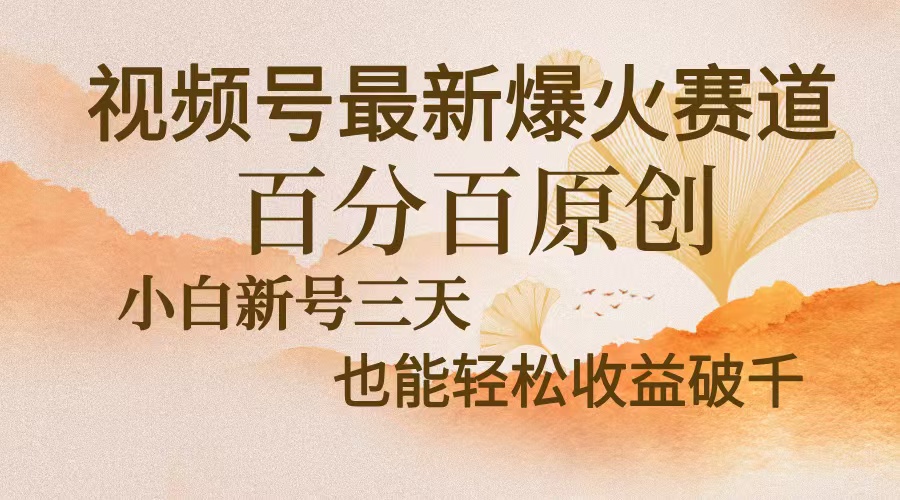 视频号最新爆火赛道,中老年粉深信不疑,百分百原创,新号三天收益轻松...-快赚