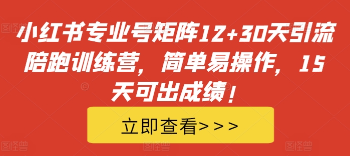 小红书专业号矩阵12+30天引流陪跑训练营，简单易操作，15天可出成绩!-快赚
